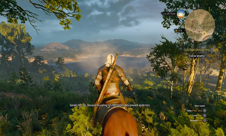 The Witcher 3 WIld Hunt PlayStation 4 PS4 vista