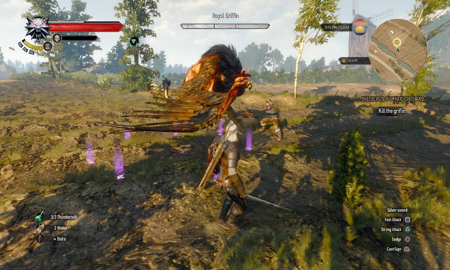 The Witcher 3 Wild Hunt PS4 PlayStation 4 gameplay royal griffin